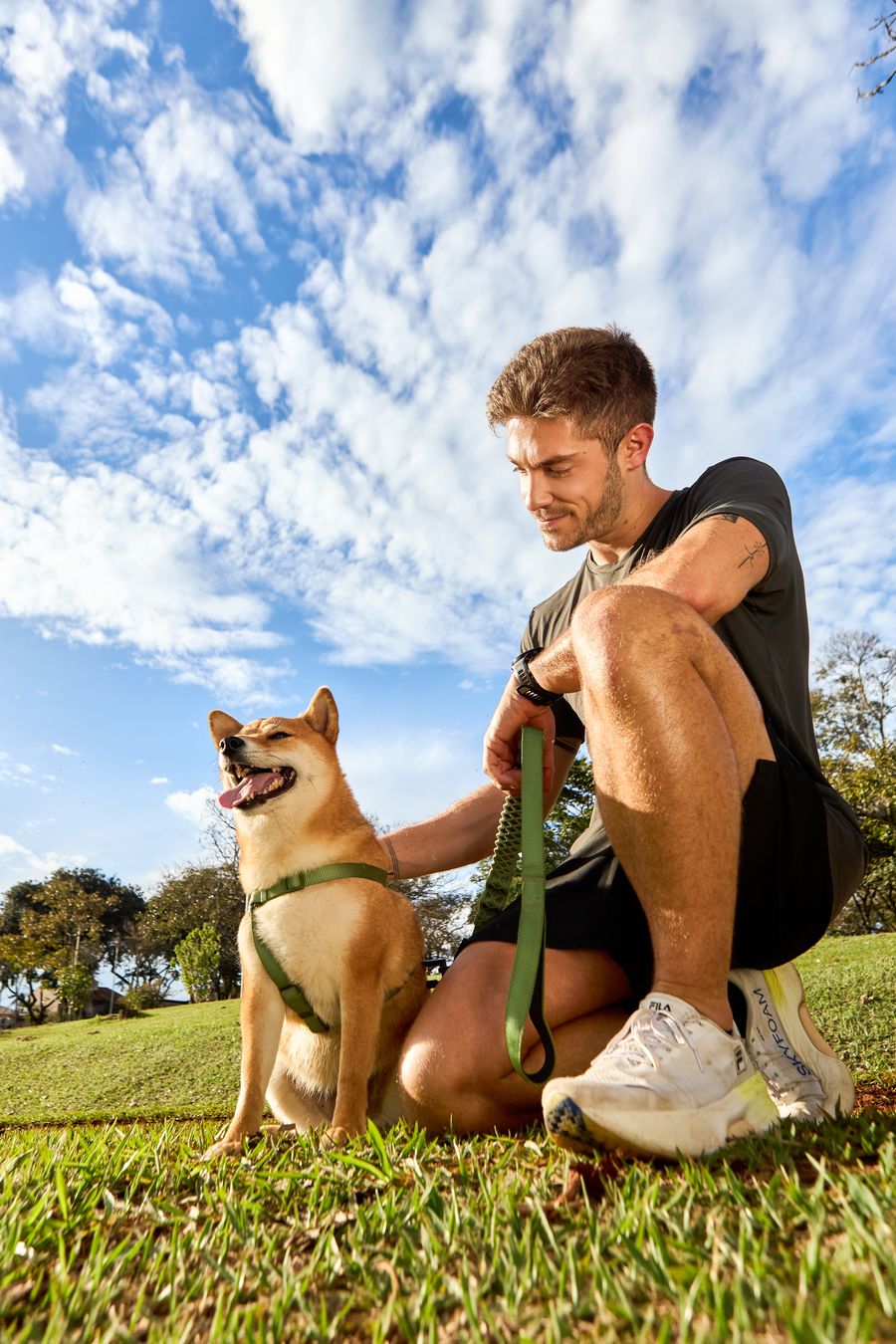 Tutor agachado ao lado de um shiba no parque